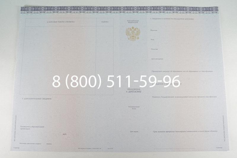Диплом бакалавра (Киржач) 2014-2024 года в Грозном