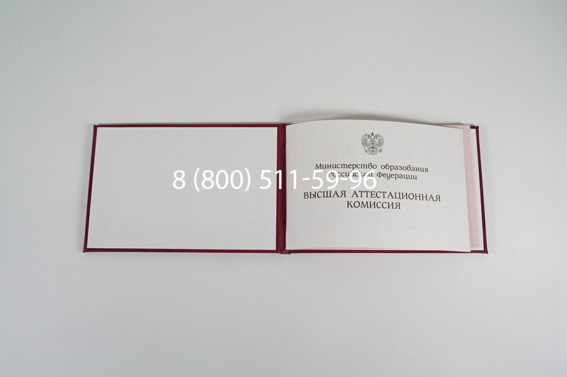 Диплом доктора наук 1995-2006 года в Грозном Диплом доктора наук 1995-2006 года в Грозном
