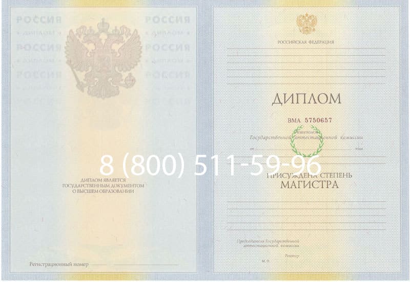 Купить Диплом магистра 2010-2011 годов в Грозном