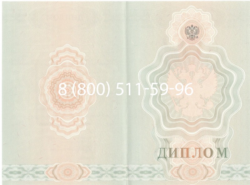 Купить Диплом ПТУ 2007-2010 годов в Грозном