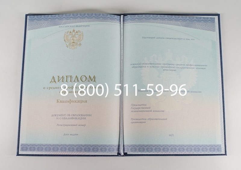 Диплом техникума (Спецбланк) 2014-2024 года в Грозном