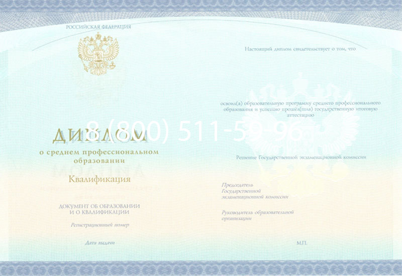 Купить Диплом техникума (Спецбланк) 2014-2024 года в Грозном